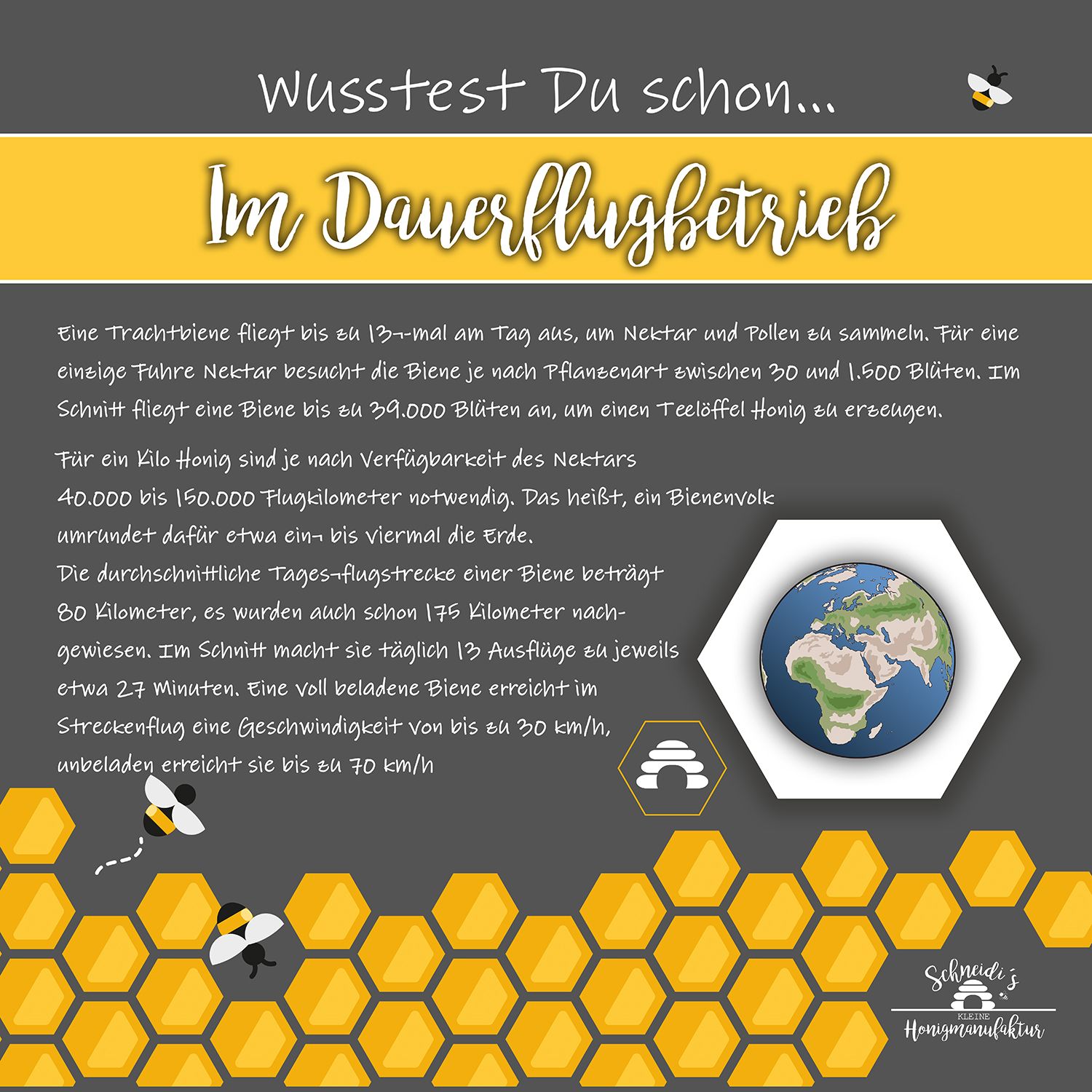 Im Dauerflugbetrieb